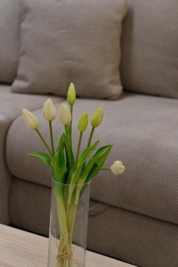 Apartment Anna - Free Pickup From Or Dropoff To Zagreb Airport At Any Time, Please Give Three Days Advance Notice - Long-Term Parking With Airport Transport Possibility Velika Gorica Exterior photo
